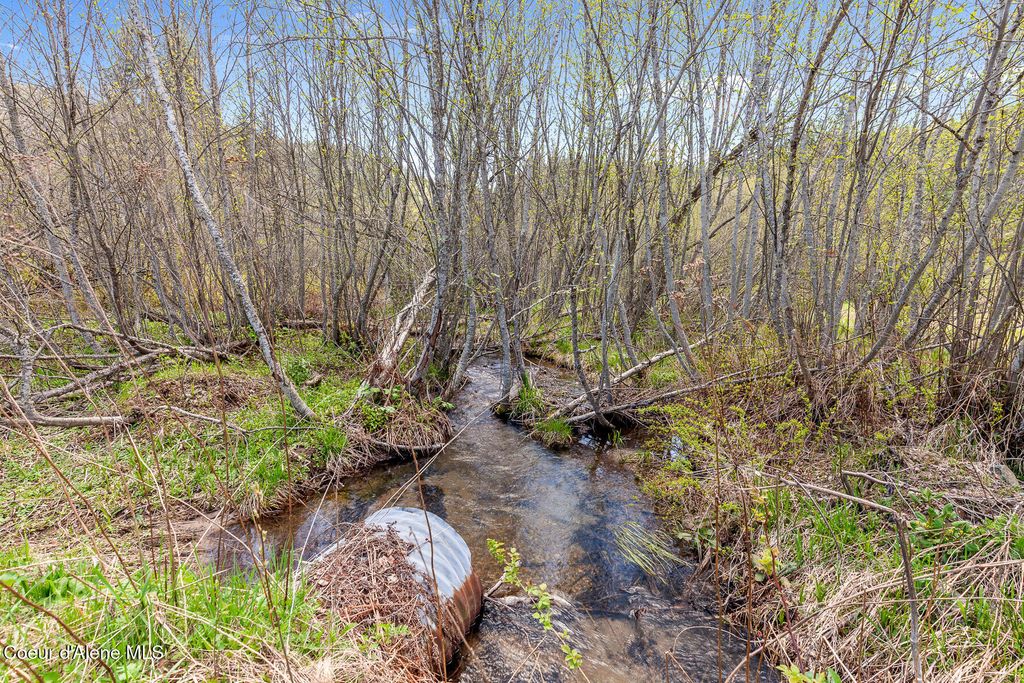 1791 Pup Paw Trl, 144.5 Acres, Priest River, ID 83856 photo 42