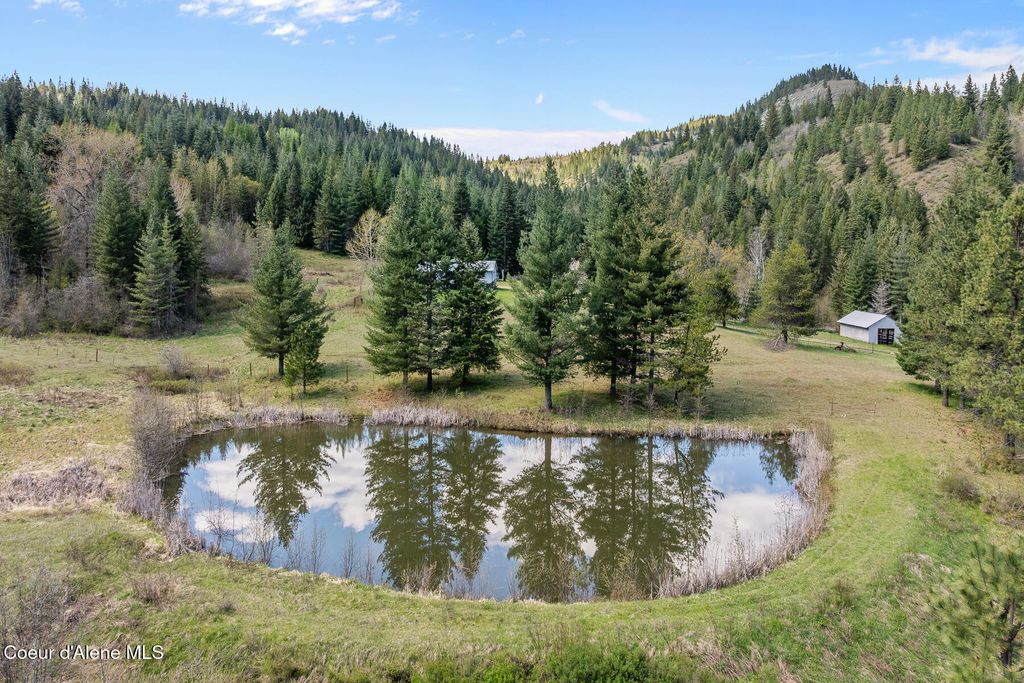 1791 Pup Paw Trl, 144.5 Acres, Priest River, ID 83856 photo 49
