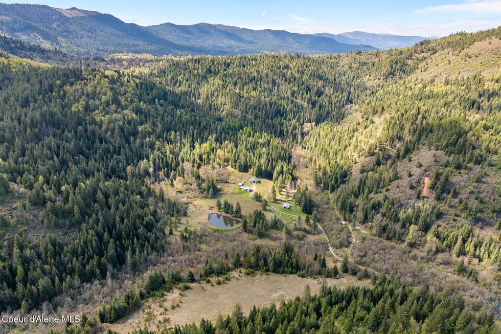 1791 Pup Paw Trl, 144.5 Acres, Priest River, ID 83856 photo 54