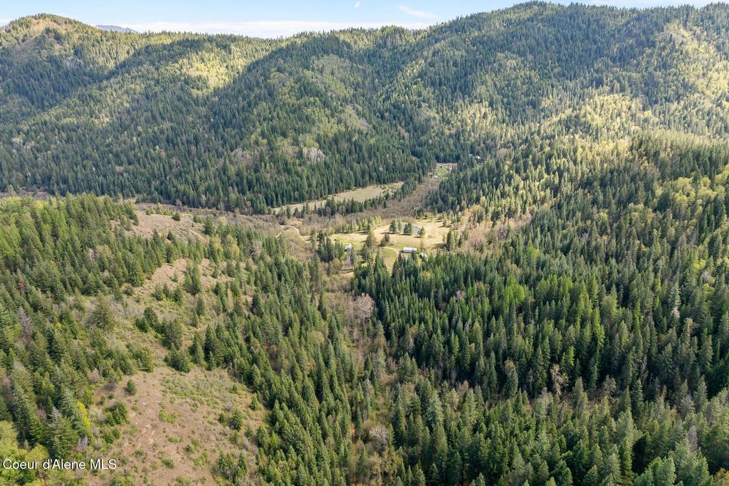 1791 Pup Paw Trl, 144.5 Acres, Priest River, ID 83856 photo 55