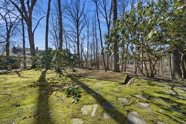 54 Cobb Rd, Mountain Lakes Boro, NJ 07046