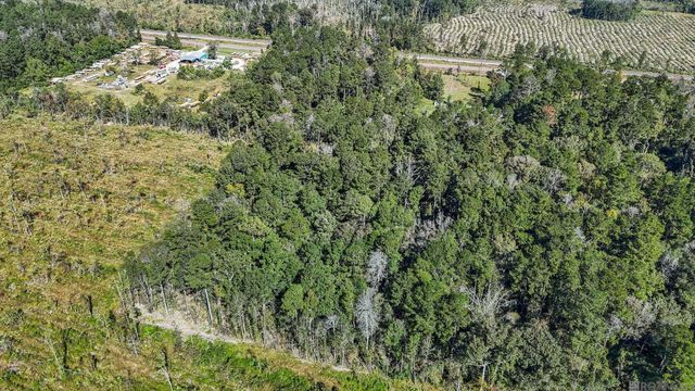 TDB Florida Blvd, Livingston, LA 70754