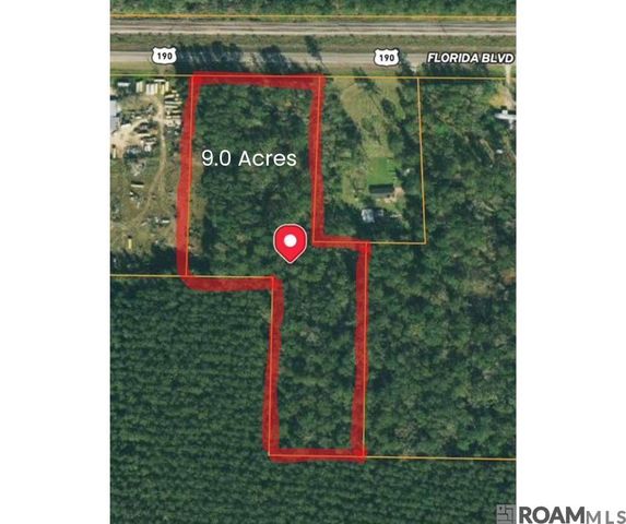 TDB Florida Blvd, Livingston, LA 70754