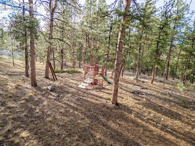 842 County Road 112, Florissant, CO 80816