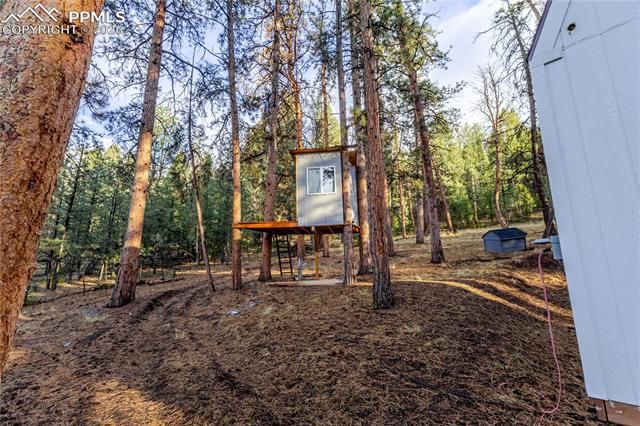 842 County Road 112, Florissant, CO 80816