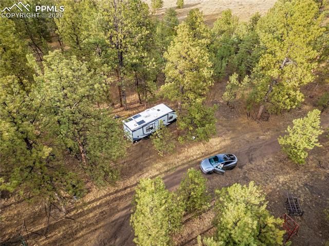 842 County Road 112, Florissant, CO 80816