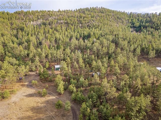 842 County Road 112, Florissant, CO 80816