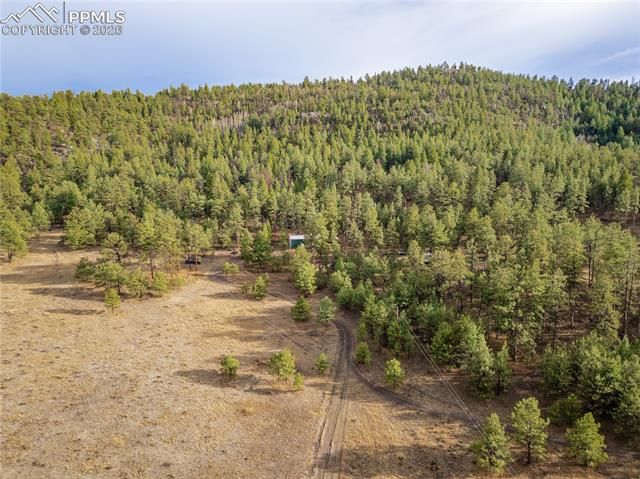 842 County Road 112, Florissant, CO 80816