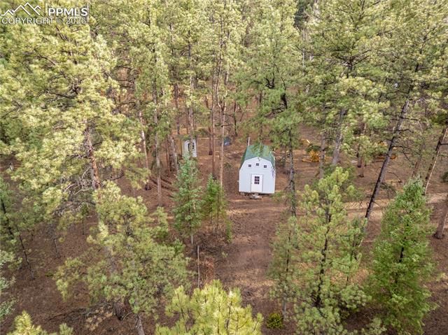 842 County Road 112, Florissant, CO 80816