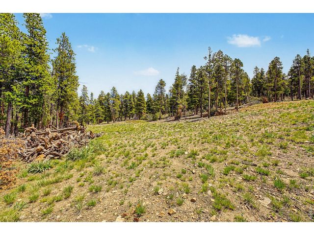 52 Meadowlake Dr, Black Hawk, CO 80422