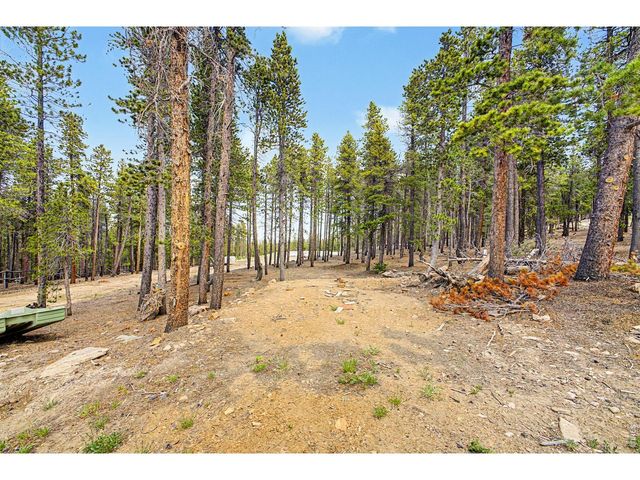52 Meadowlake Dr, Black Hawk, CO 80422