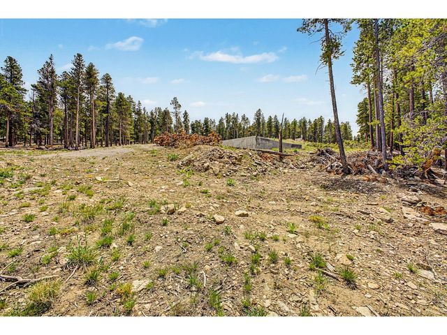 52 Meadowlake Dr, Black Hawk, CO 80422