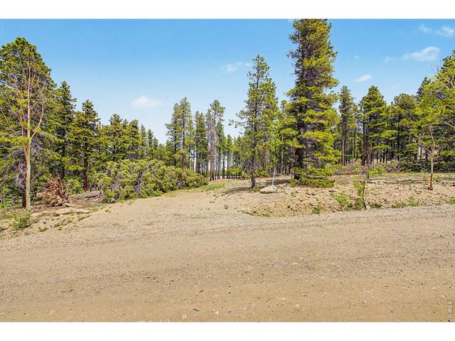52 Meadowlake Dr, Black Hawk, CO 80422
