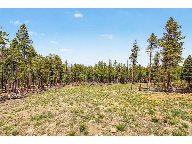 52 Meadowlake Dr, Black Hawk, CO 80422