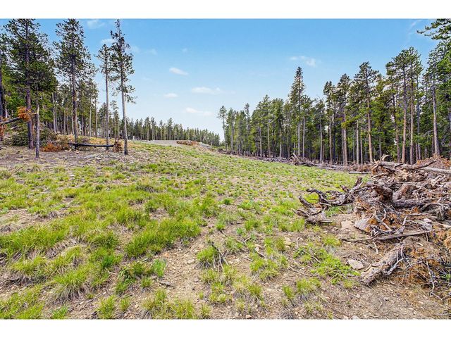 52 Meadowlake Dr, Black Hawk, CO 80422