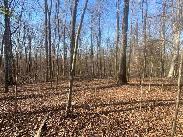 5405 COFFEE LANDING RD, Morris Chapel, TN 38361