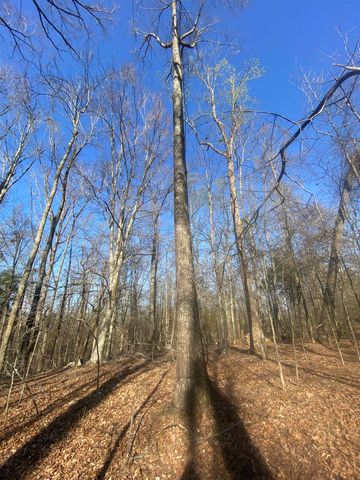 5405 COFFEE LANDING RD, Morris Chapel, TN 38361