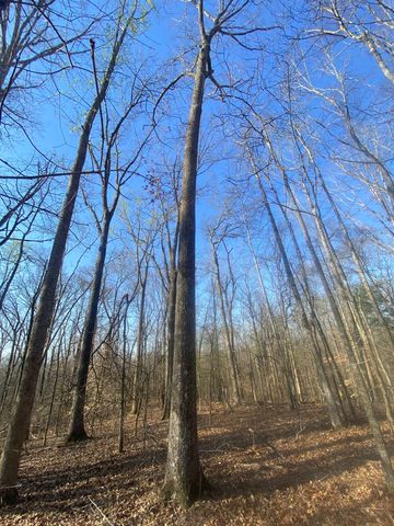 5405 COFFEE LANDING RD, Morris Chapel, TN 38361