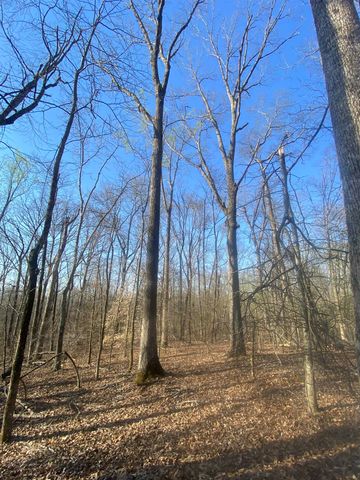 5405 COFFEE LANDING RD, Morris Chapel, TN 38361