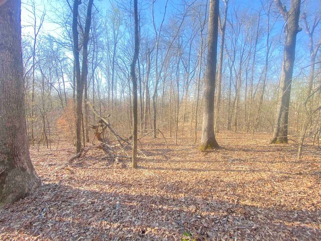 5405 COFFEE LANDING RD, Morris Chapel, TN 38361