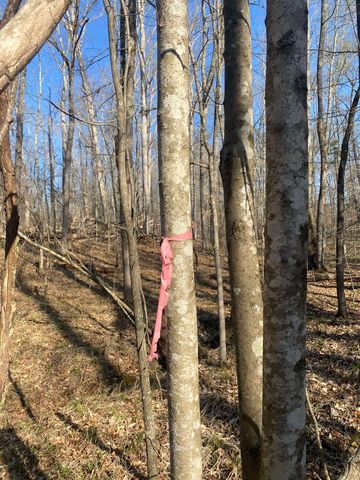 5405 COFFEE LANDING RD, Morris Chapel, TN 38361