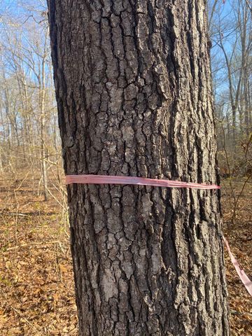 5405 COFFEE LANDING RD, Morris Chapel, TN 38361