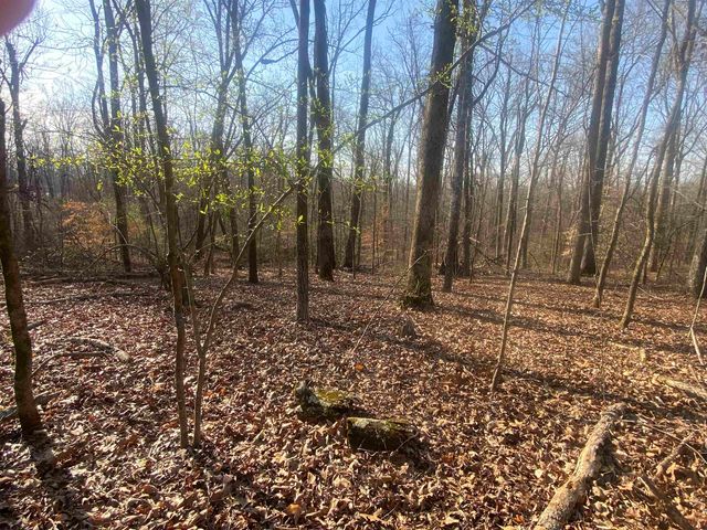 5405 COFFEE LANDING RD, Morris Chapel, TN 38361