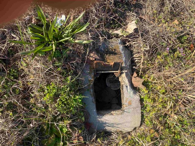 5405 COFFEE LANDING RD, Morris Chapel, TN 38361