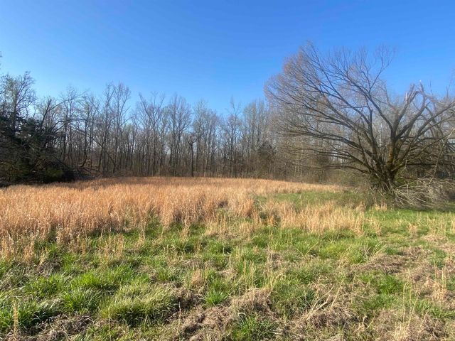 5405 COFFEE LANDING RD, Morris Chapel, TN 38361