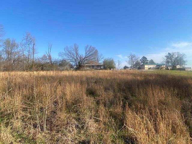 5405 COFFEE LANDING RD, Morris Chapel, TN 38361