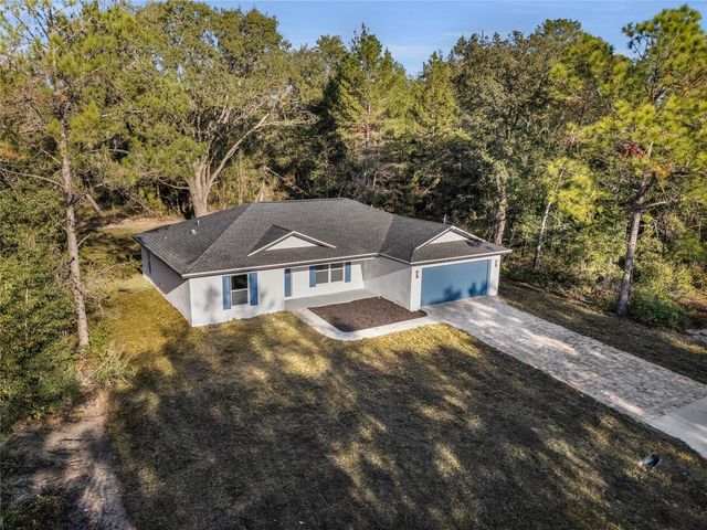 11790 ORANGE ROAD, Ocklawaha, FL 32179