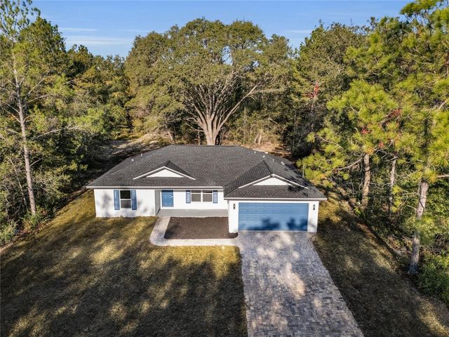 11790 ORANGE ROAD, Ocklawaha, FL 32179