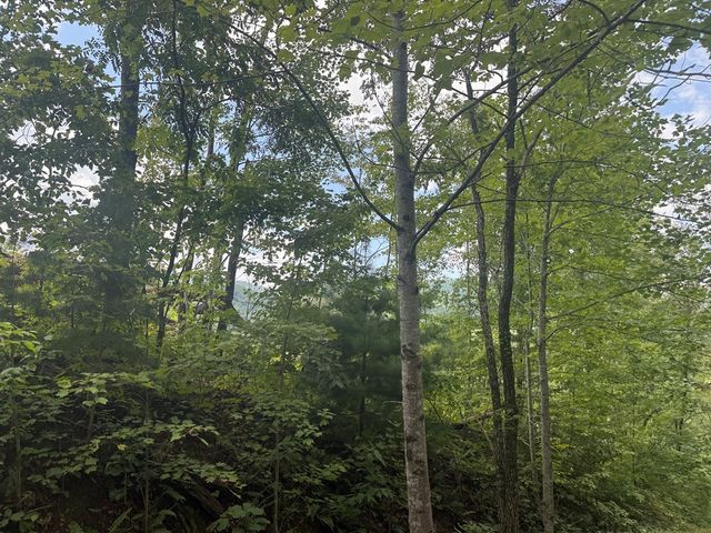 0000 Bethabara View, Hayesville, NC 28904