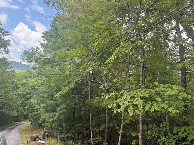 0000 Bethabara View, Hayesville, NC 28904