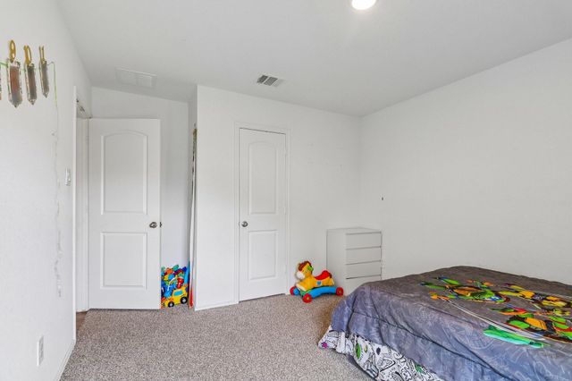 21319 Mountain Ash Drive, New Caney, TX 77357