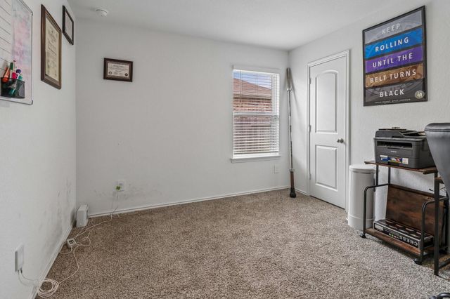 21319 Mountain Ash Drive, New Caney, TX 77357