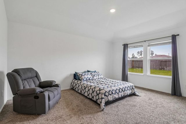21319 Mountain Ash Drive, New Caney, TX 77357