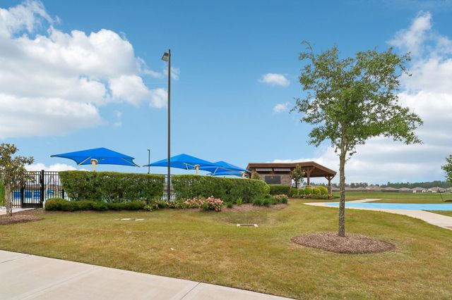 21319 Mountain Ash Drive, New Caney, TX 77357