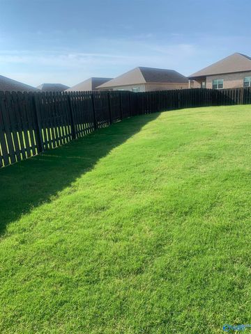 120 Delilah Lane, Madison, AL 35756