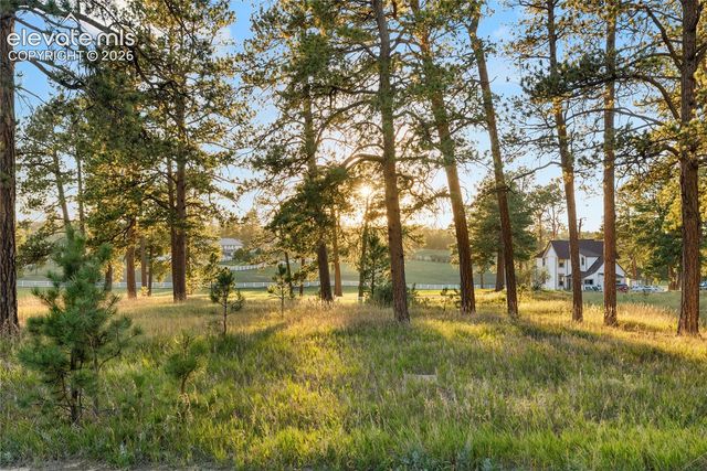 14745 W Kiowa Creek Lane, Colorado Springs, CO 80908