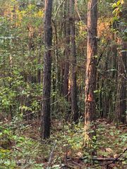 1 Kirby Creek Road, Wiggins, MS 39577