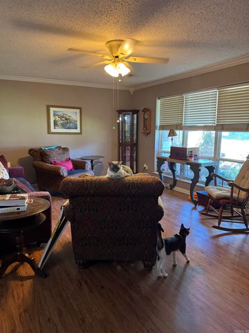 591 Valarie Ln, Piggott, AR 72454