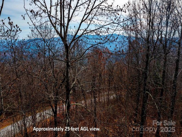 Lot 253 Haddington Drive, Mill Spring, NC 28756