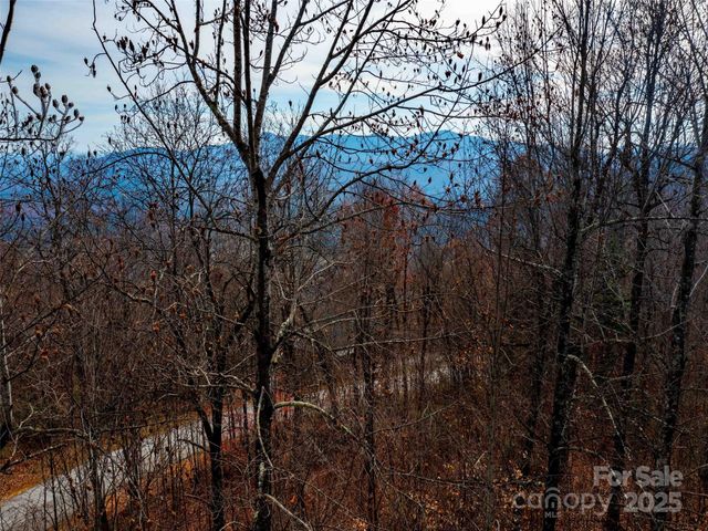 Lot 253 Haddington Drive, Mill Spring, NC 28756