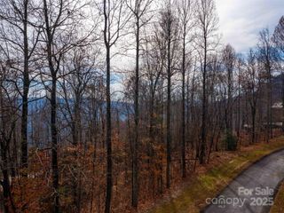 Lot 253 Haddington Drive, Mill Spring, NC 28756