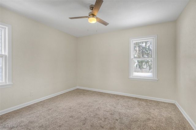 25671 Farringdon Avenue, Euclid, OH 44132