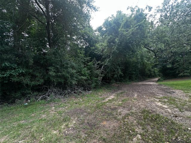 TBD Old Israel Road, Livingston, TX 77351