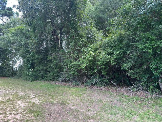TBD Old Israel Road, Livingston, TX 77351