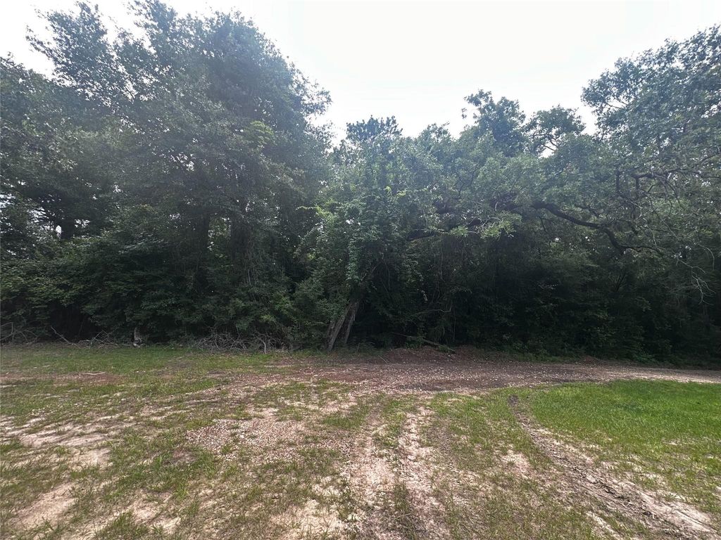 TBD Old Israel Road, Livingston, TX 77351
