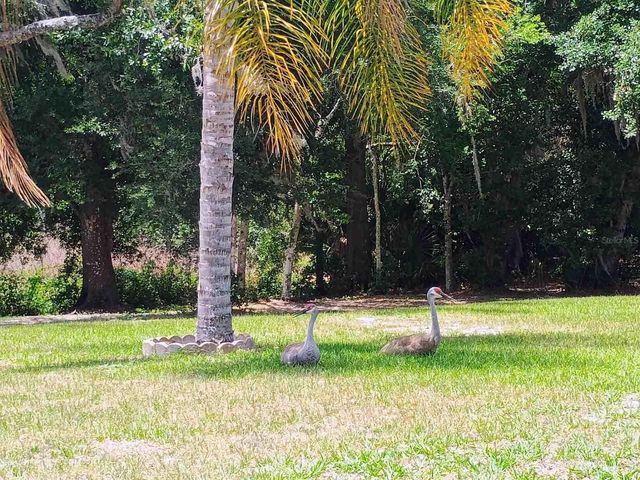 2401 TANGERINE HILL COURT, Lutz, FL 33549